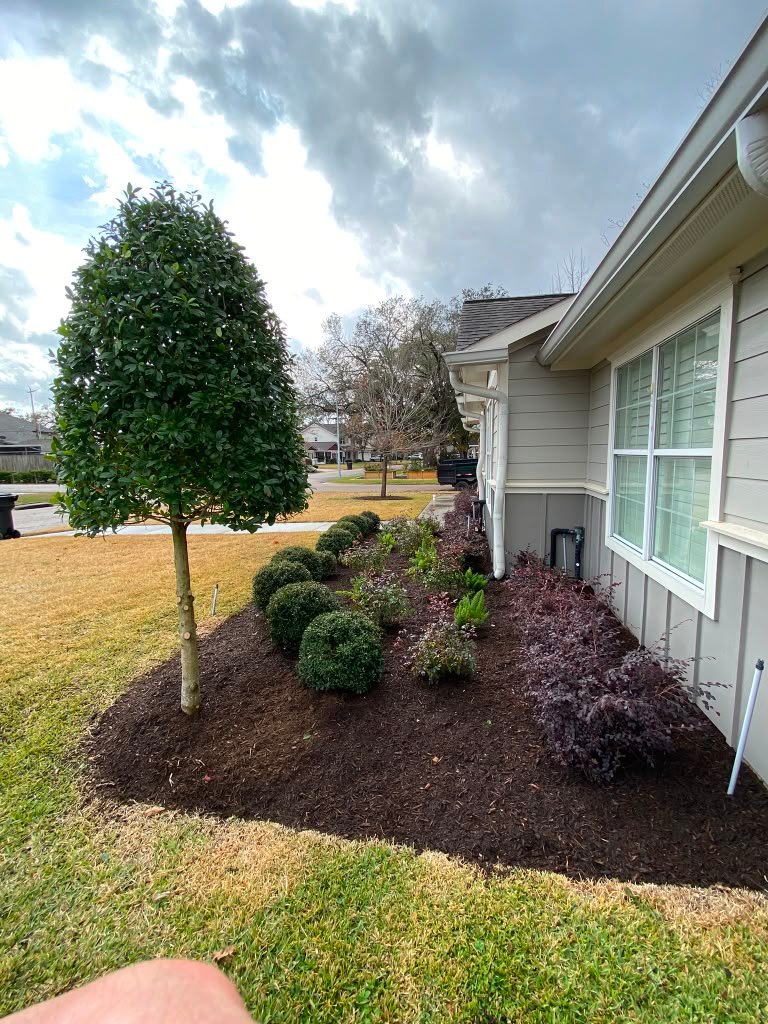 Finished landscape mulch installation